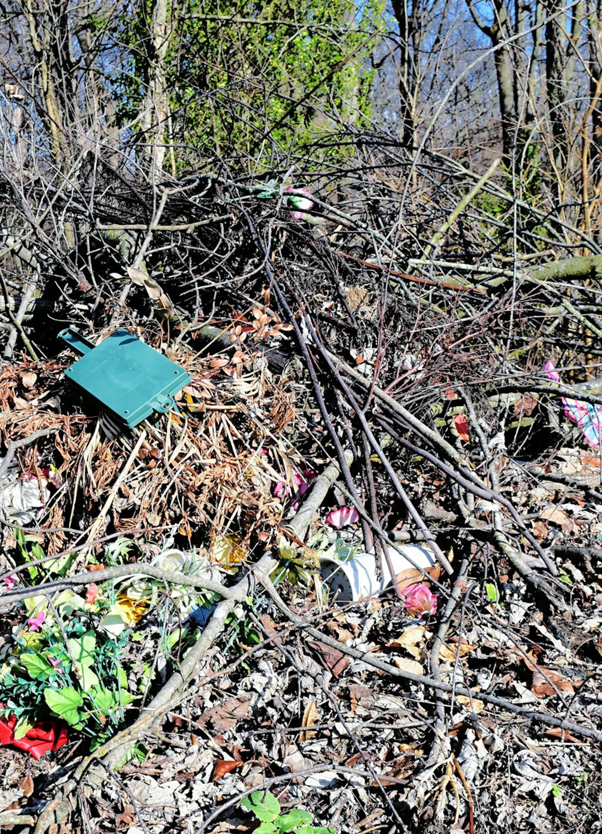 We’re Licensed & Insured