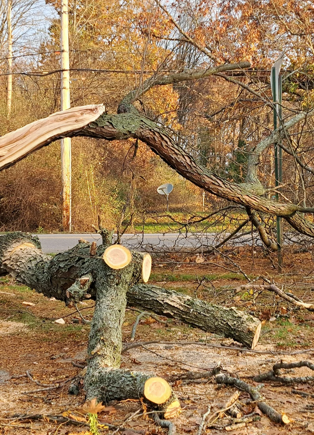 We’re Licensed & Insured