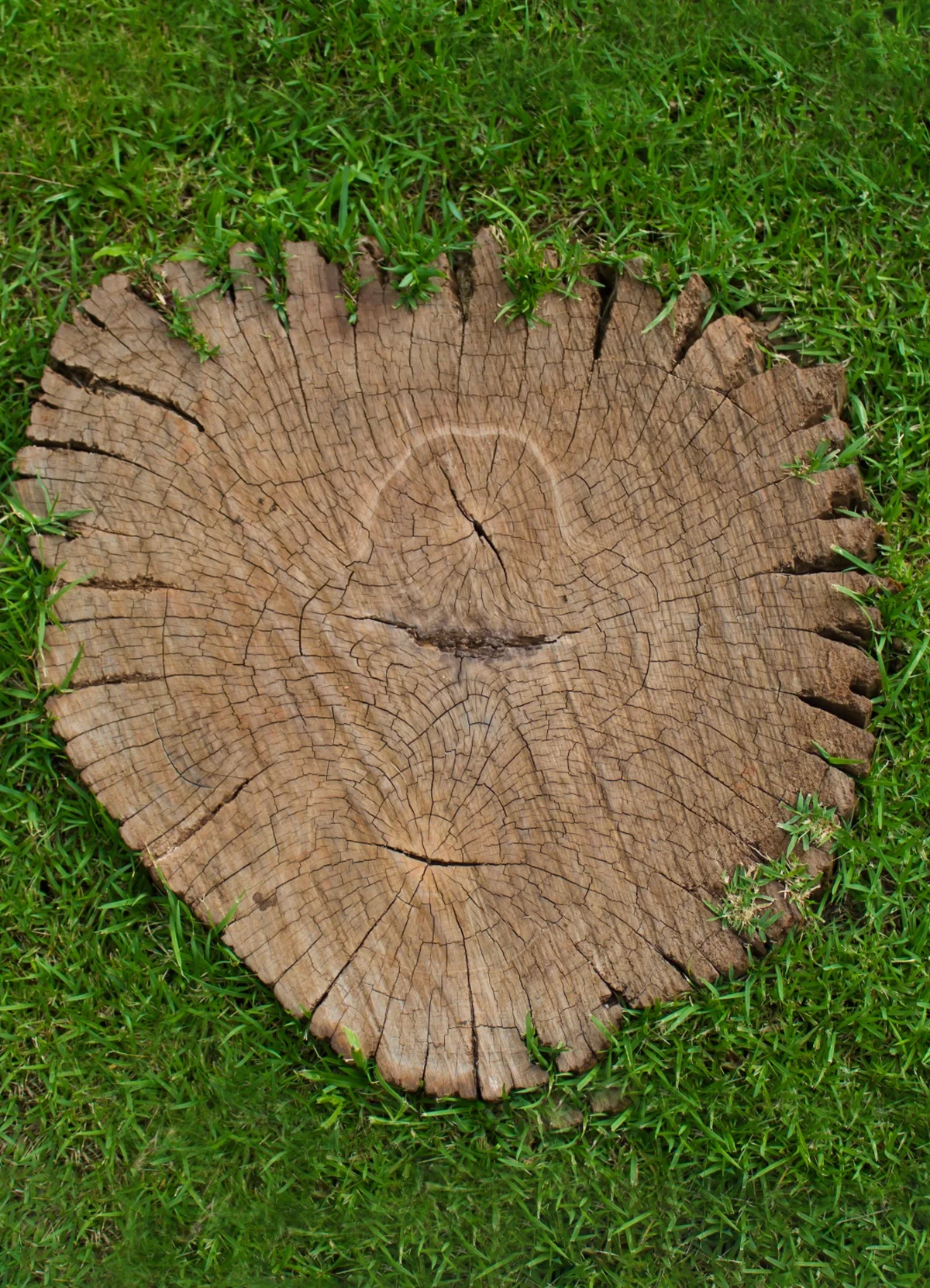 We’re Licensed & Insured