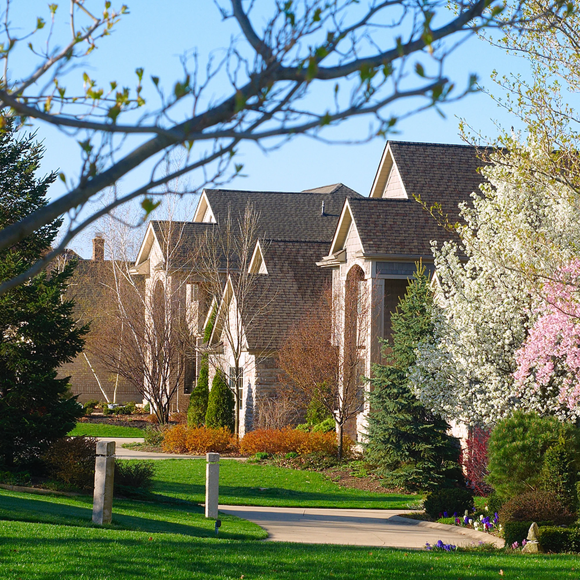 Residential Tree Services