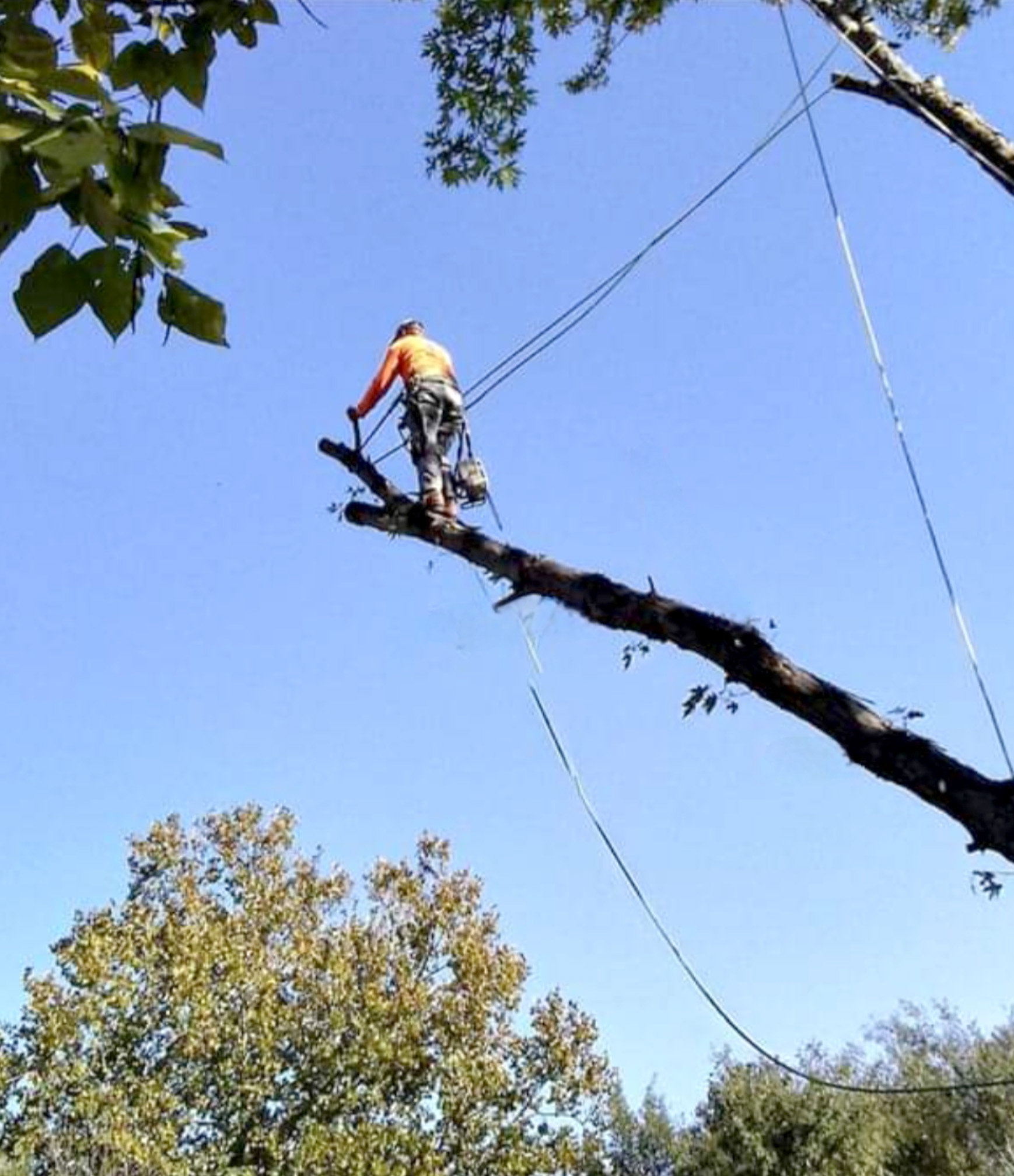 We’re Licensed & Insured