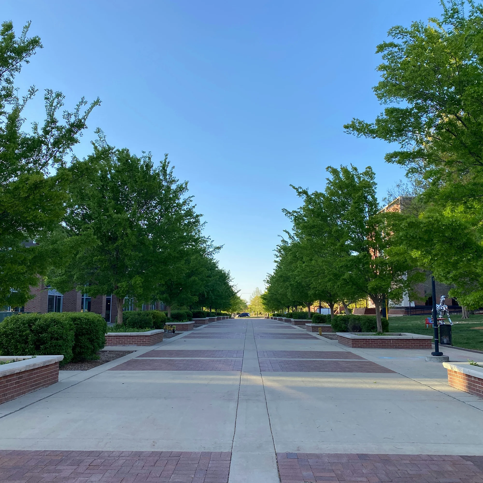 Tree Inventory & GIS Mapping