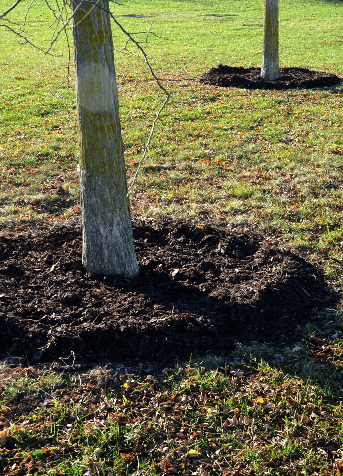 We’re Licensed & Insured