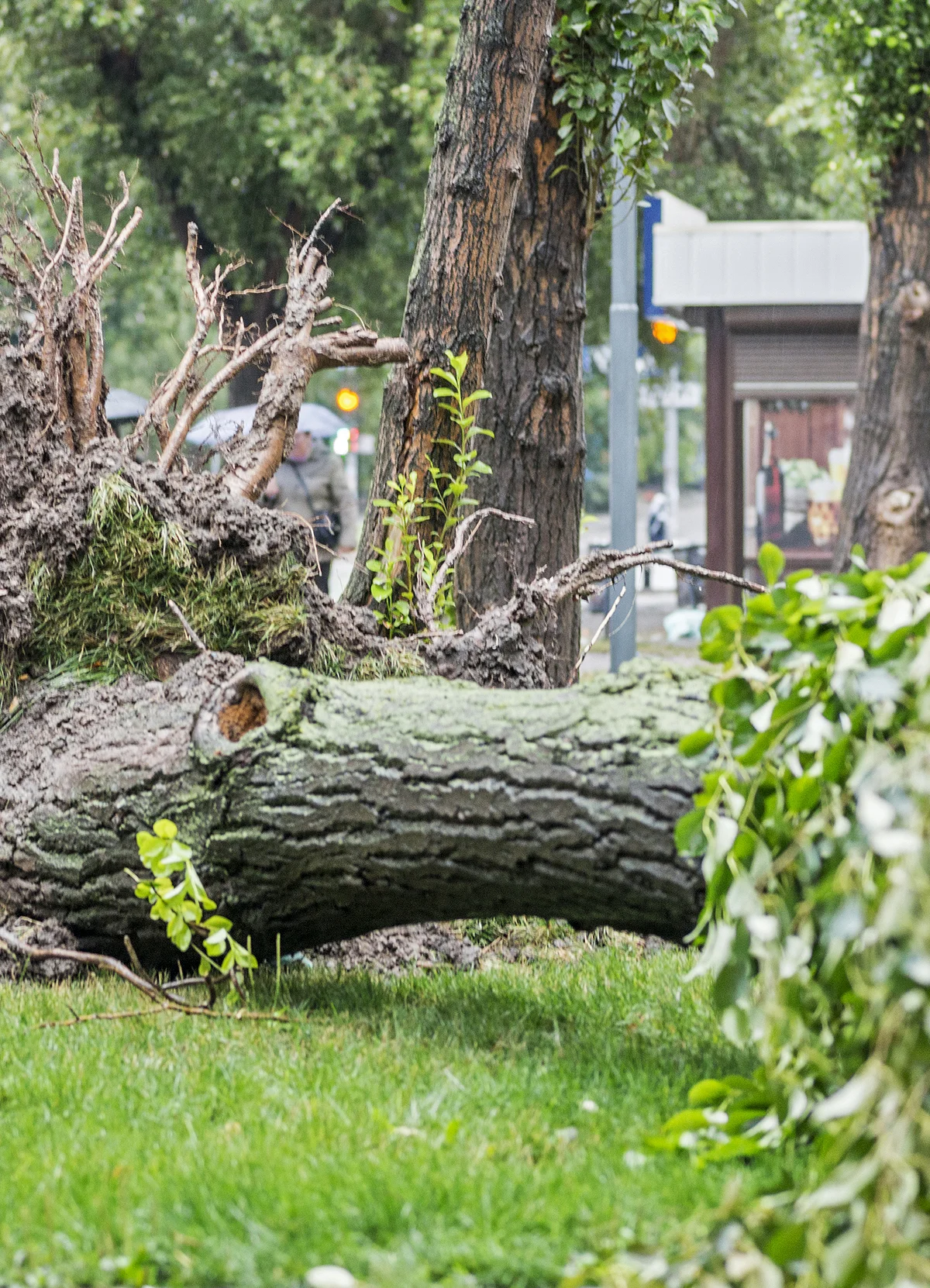 We’re Licensed & Insured